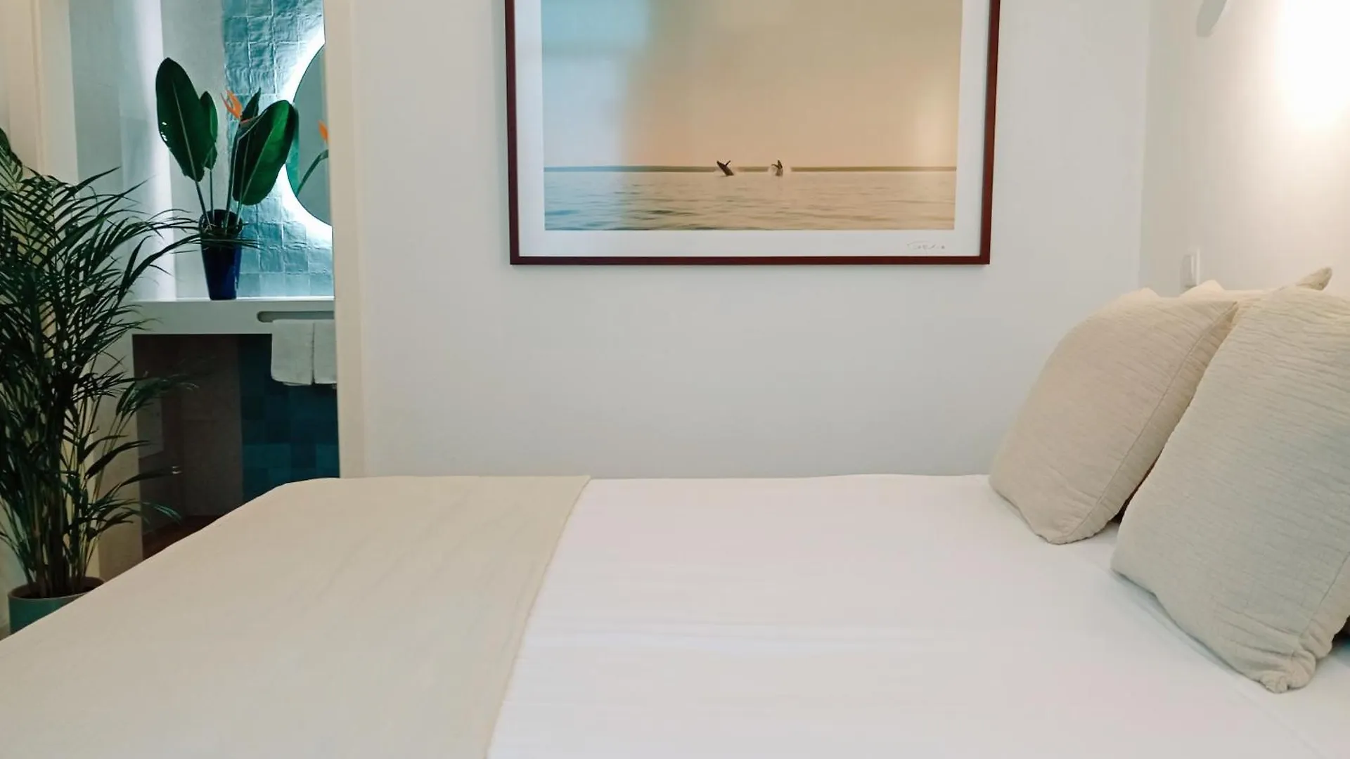 Santa Cruz - B&B 拉哥斯
